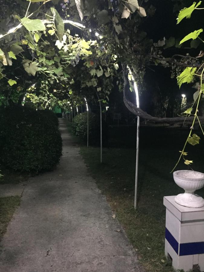 Hotel Baza Otdyha Miya Gudauta Zewnętrze zdjęcie